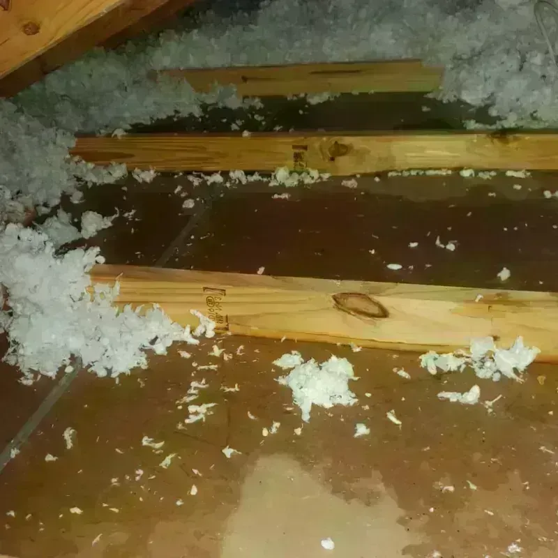 Attic Water Damage in North Charleston, SC