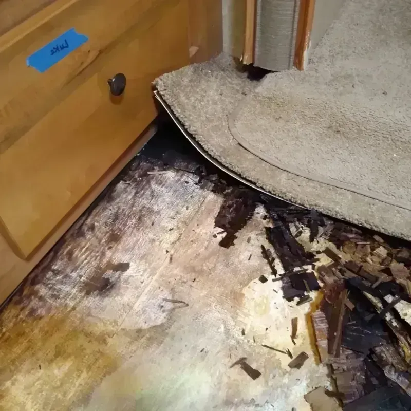 Wood Floor Water Damage in North Charleston, SC